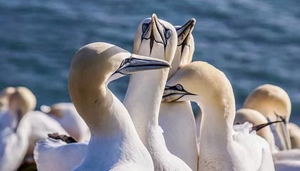 海盐高价上海医保提取2025的最新政策(2025年海盐上海医保怎么提取现金分享)