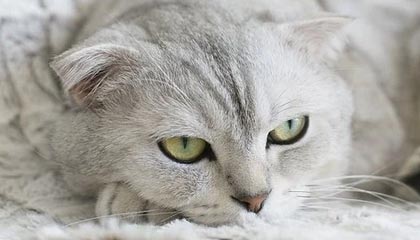 海盐24小时高价回收医保卡的最新政策(2025年海盐24小时高价回收医保卡电话分享)