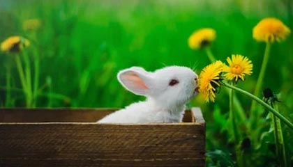 海盐高价上海医保提取2025的最新政策(2025年海盐上海医保怎么提取现金分享)